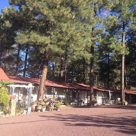 Mountain Haven Inn باينتوب ليكسايد المظهر الخارجي الصورة