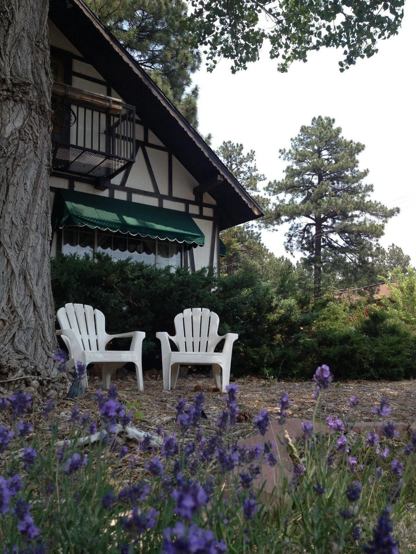 Mountain Haven Inn باينتوب ليكسايد المظهر الخارجي الصورة